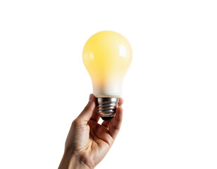 light bulb in hand isolated