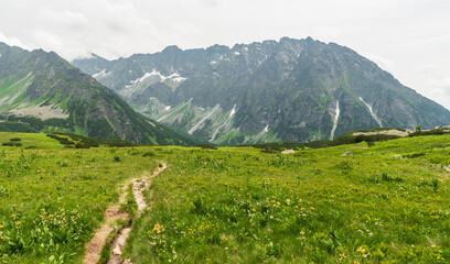 Prostredny chrbat mountain ridge from Kobylia dolina valley in Tatra mountains in Slovakia © honza28683