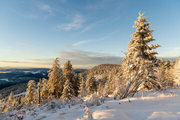 winter landscape in the mountains