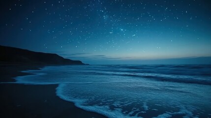 Serene beach under a starry night sky.