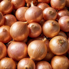 fresh onion