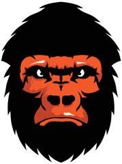 Gorille grand singe primate tete dessin