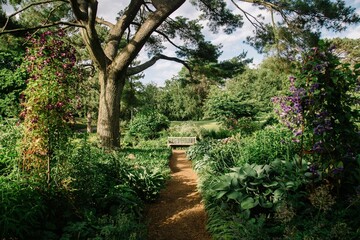 Naklejka premium Serene garden path with vibrant flowers.