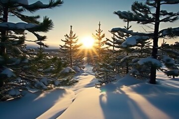 early in the morning or late in the evening, sunlight on the snow.