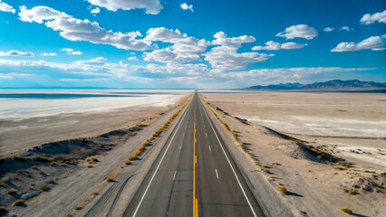 Fototapeta premium Empty road in the desert leading to the horizon under a cloudy sky