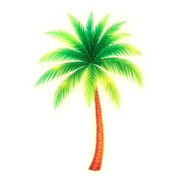 green palm tree on white background clip art preview