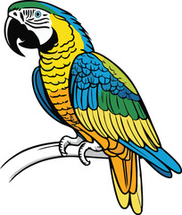 macaw bird mascot illustration logo concept design	
