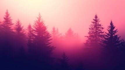 Pink sunset over misty evergreen forest.