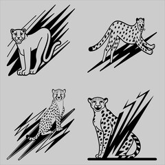 Cheetah and Cougar Vector Illustrations