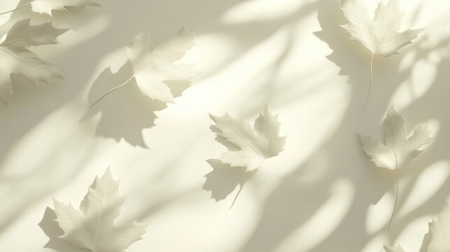 Soft light illuminates scattered white leaves and their shadows on a beige background.