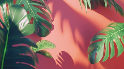 Lush tropical leaves cast shadows on a coral backdrop.