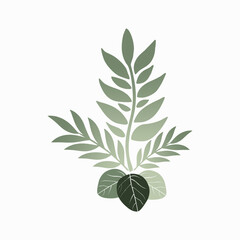 flowers and leaves vector on white background