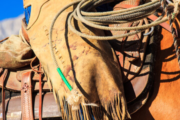 A brown leather strap with green beads on it is tied to a horse's tail