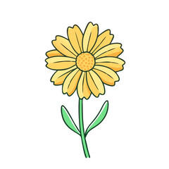 coreopsis flower illustration, flower vector art, flower icon - Minimalistic flat illustration of coreopsis flower flower, perfect for icons, logos, and floral-themed designs.

