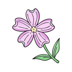 creeping phlox flower illustration, flower vector art, flower icon - Minimalistic flat illustration of creeping phlox flower flower, perfect for icons, logos, and floral-themed designs.

