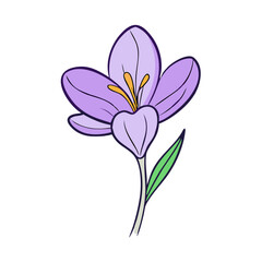 Naklejka premium crocus flower illustration, flower vector art, flower icon - Minimalistic flat illustration of crocus flower flower, perfect for icons, logos, and floral-themed designs.