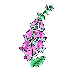 foxglove flower illustration, flower vector art, flower icon - Minimalistic flat illustration of foxglove flower flower, perfect for icons, logos, and floral-themed designs.

