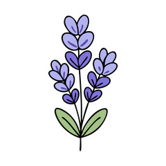 Naklejka premium lavender flower illustration, flower vector art, flower icon - Minimalistic flat illustration of lavender flower flower, perfect for icons, logos, and floral-themed designs.