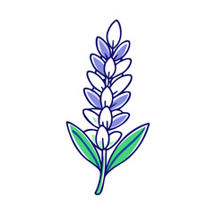 lupine flower illustration, flower vector art, flower icon - Minimalistic flat illustration of lupine flower flower, perfect for icons, logos, and floral-themed designs.

