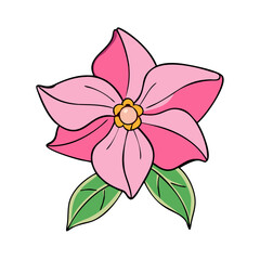 mandevilla flower illustration, flower vector art, flower icon - Minimalistic flat illustration of mandevilla flower flower, perfect for icons, logos, and floral-themed designs.

