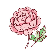 peony flower illustration, flower vector art, flower icon - Minimalistic flat illustration of peony flower flower, perfect for icons, logos, and floral-themed designs.

