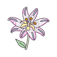 Naklejka premium toad lily flower illustration, flower vector art, flower icon - Minimalistic flat illustration of toad lily flower flower, perfect for icons, logos, and floral-themed designs.