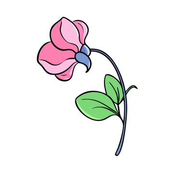 recommend clip art: sweet pea flower illustration, flower vector art, flower icon - Minimalistic flat illustration of sweet pea flower flower, perfect for icons, logos, and floral-themed designs.
                    
                    