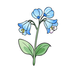 virginia bluebells flower illustration, flower vector art, flower icon - Minimalistic flat illustration of virginia bluebells flower flower, perfect for icons, logos, and floral-themed designs.

