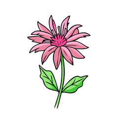 bee balm flower illustration, flower vector art, flower icon - Minimalistic flat illustration of bee balm flower flower, perfect for icons, logos, and floral-themed designs.

