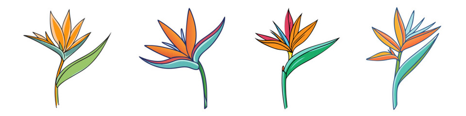 bird of paradise flower illustration, flower vector art, flower icon - Minimalistic flat illustration of bird of paradise flower flower, perfect for icons, logos, and floral-themed designs.

