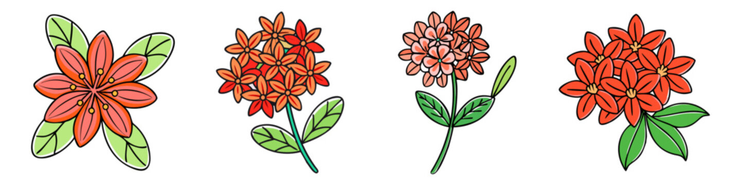 ixora flower illustration, flower vector art, flower icon - Minimalistic flat illustration of ixora flower flower, perfect for icons, logos, and floral-themed designs.

