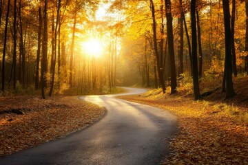 Fototapeta premium Sunlit Pathway Through a Vibrant Autumn Forest with Warm Golden Light