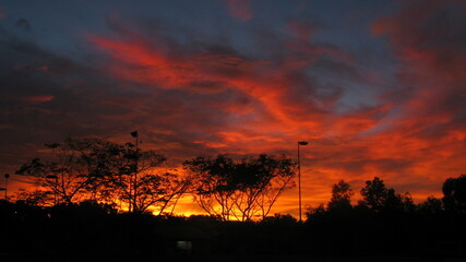 Fototapeta premium sunset over the forest