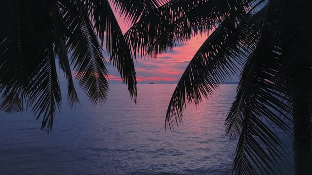 Romantic time after sunset by sea. Cinematic aerial video camera moves through silhouettes of palm trees to sea, showing incredible pink tropical sunset on sea. Vacation concept in tropical country. 