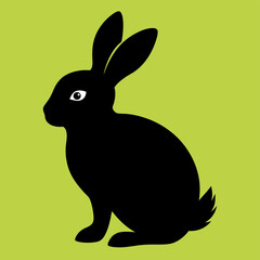 easter bunny in grass