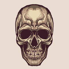 skull head illustration vector design