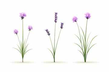 Naklejka premium Elegant Lavender and Pink Flowers on White Background for Design