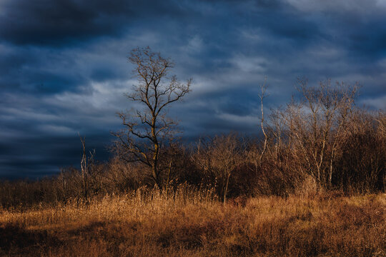 A dramatic landscape, a mystical and dark sky. - Powered by Adobe