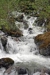 Small waterfall, Tongass National Forest Juneau Alaska USA