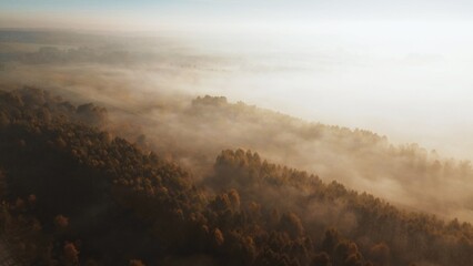 Naklejka premium Foggy autumn fields and forests at sunrise