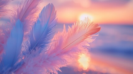 Obraz premium Delicate Feathers Against a Breathtaking Sunset by the Shoreline