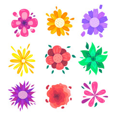 Spring flowers colorful vector set isolated in white background. Collection of daisy and sunflowers with various colors for spring season as graphic elements and decorations.