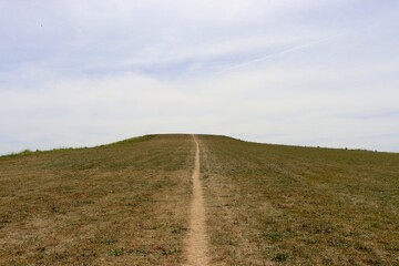 Fototapeta premium The green grass hill in the country on a sunny day.