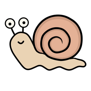 snail on a white
