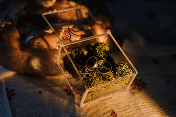 Elegant Wedding Rings Displayed in a Rustic Glass Box on Moss