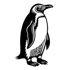 penguin vector Art