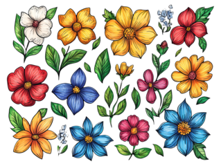 Floral Doodle Shapes with Patterns on Transparent Background