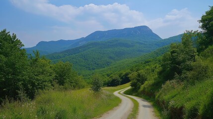 Fototapeta premium Winding mountain road surrounded by lush greenery on a sunny summer day with blue skies and distant peaks.