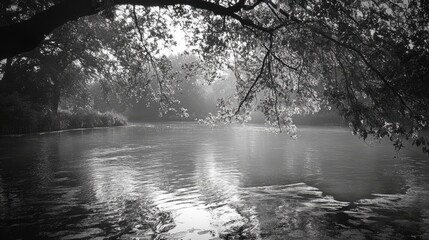 Misty River Avon Landscape with Overhanging Branches in Monochrome Setting