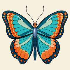 butterfly illustration